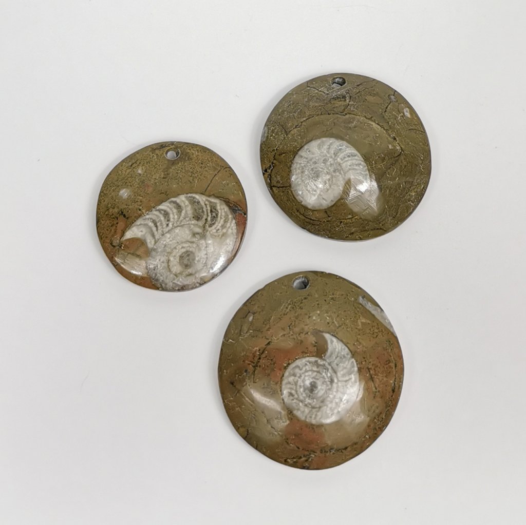 Ammonite Round Pendant In Marble
