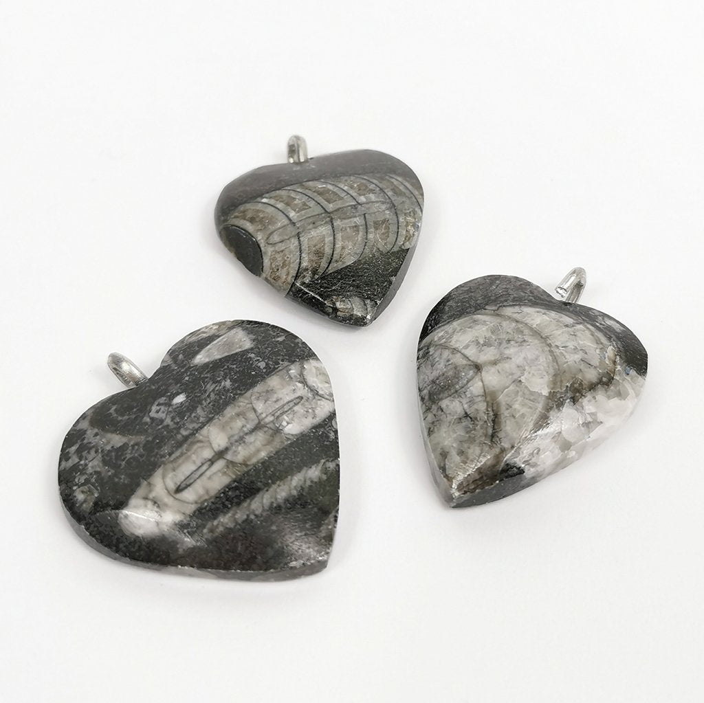 Orthoceras Heart Pendant In Marble