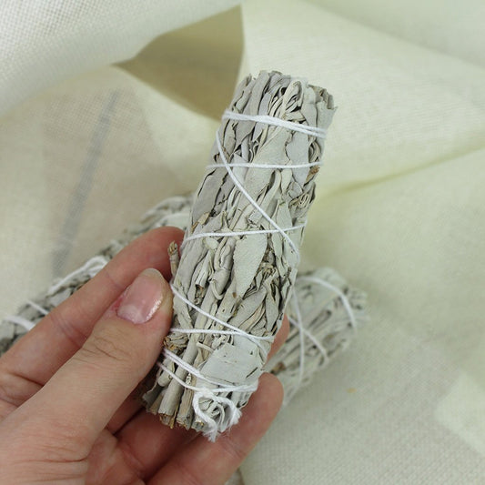 White Sage Smudge 10-12 cm