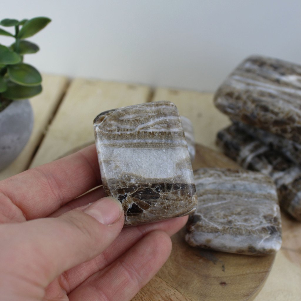 Selenite & Aragonite Plate S