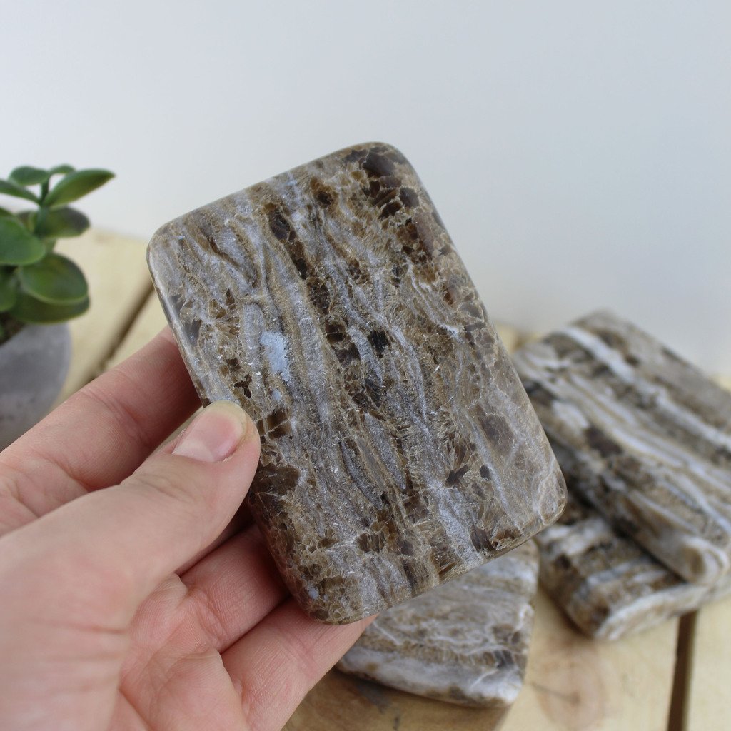 Aragonite Plate M