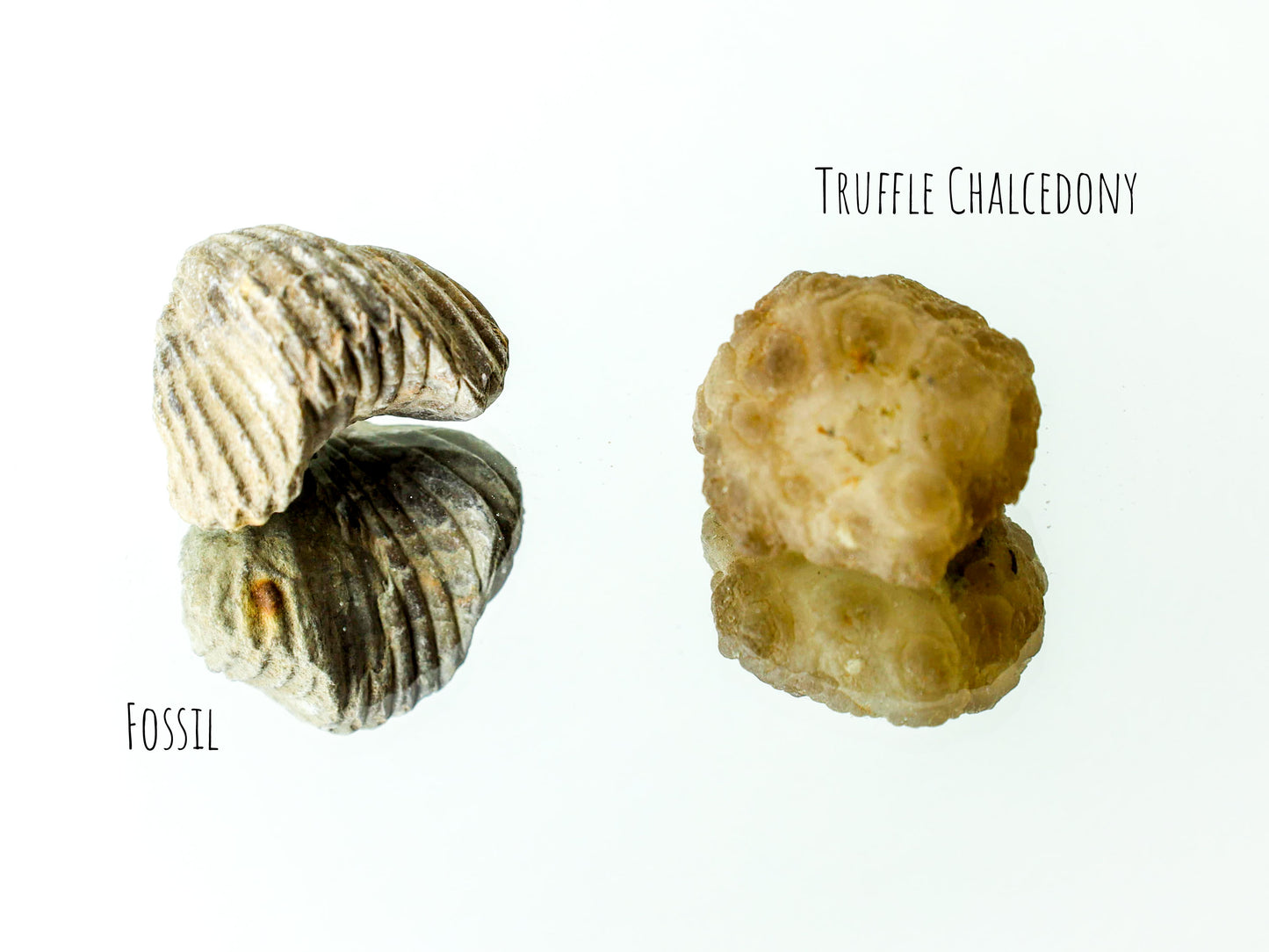 Moroccan Minerals Treasure Mix Box | +1 Mystery Raw Mineral