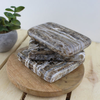 Aragonite Plate M