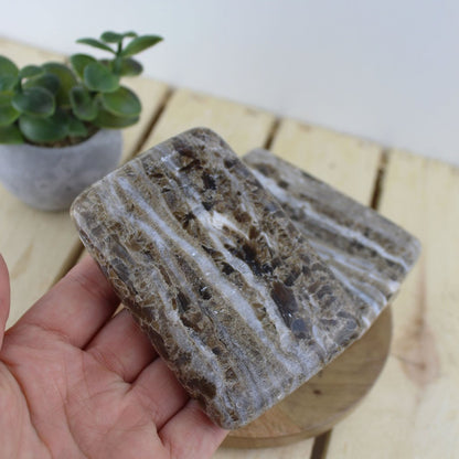 Aragonite Plate M